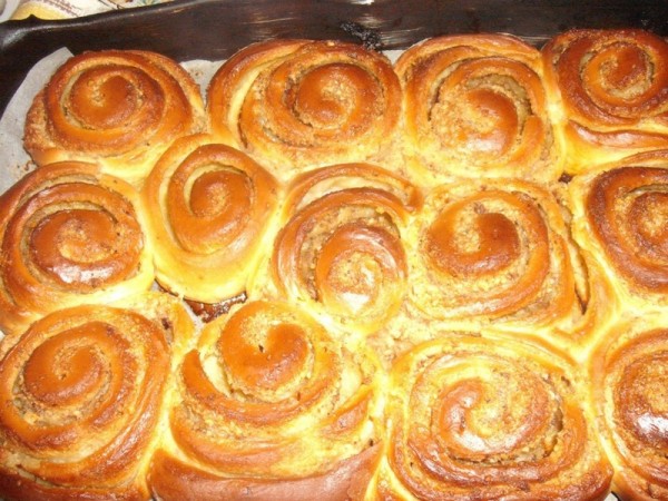 cuib-deviespi-gaciu-monica