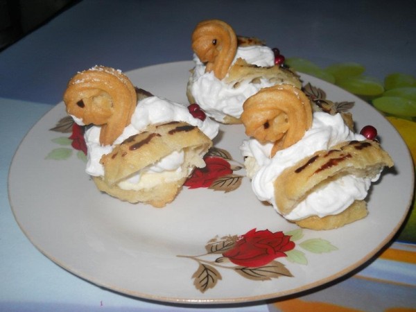 lebede-indragostite-bordea-oana