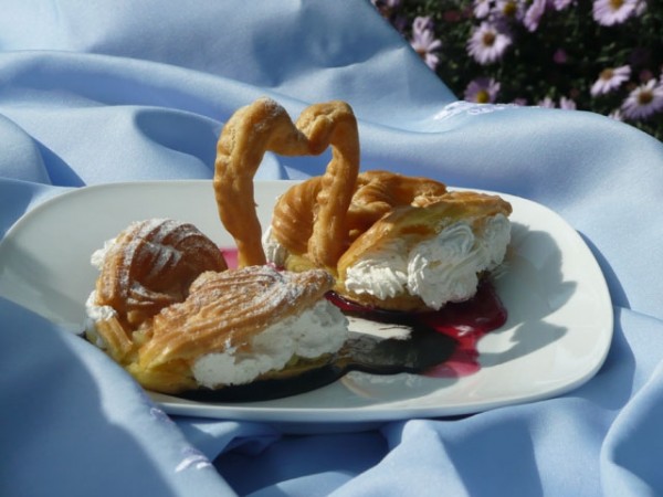 lebede-indragostite-nicoleta-zecheru