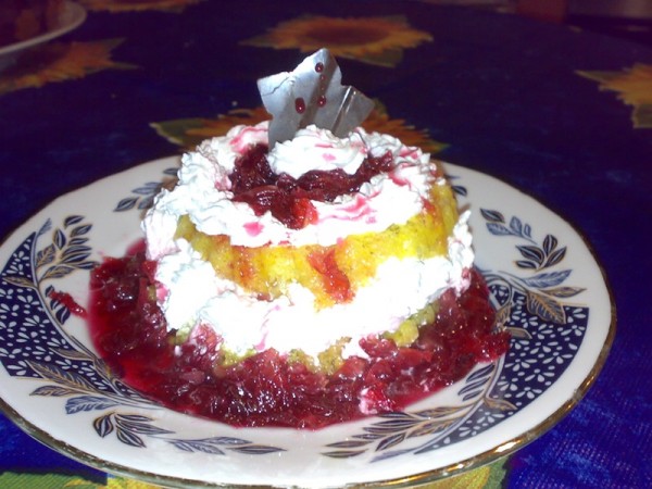 savarina-nicoleta-zecheru