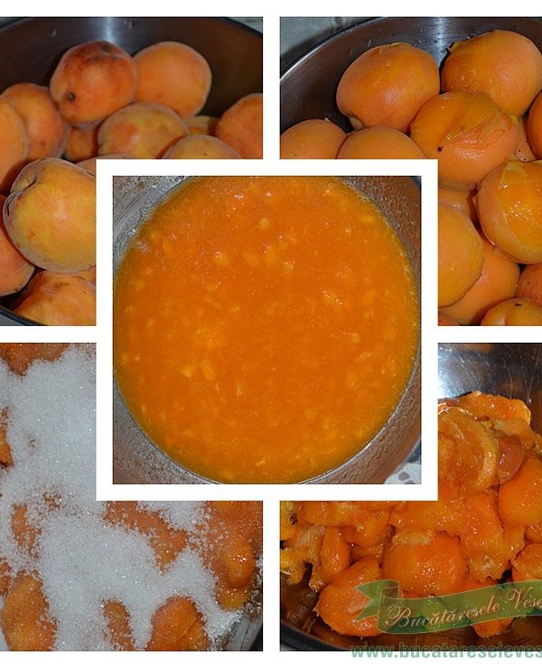 preparare-dulceata-caise-la-rece-11