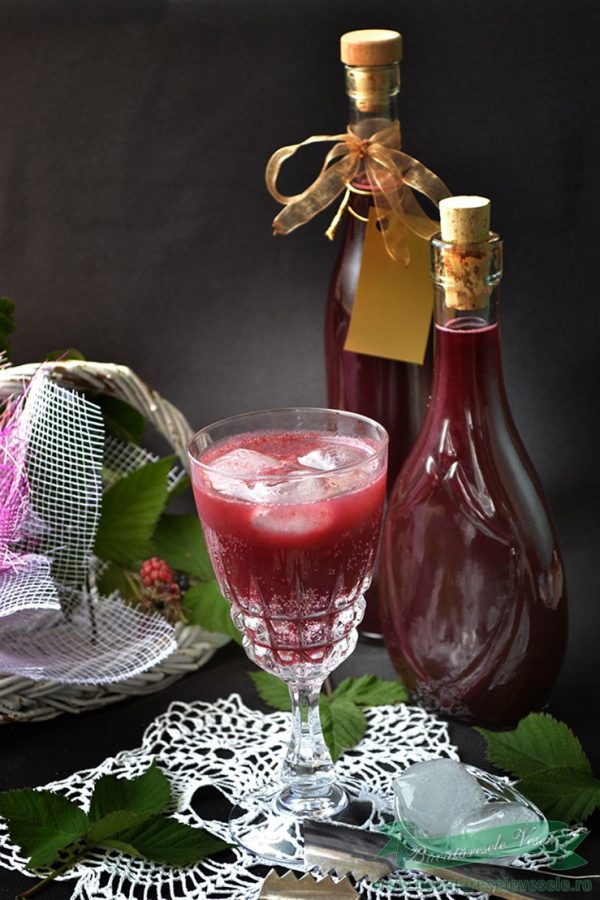 Sirop de Mure la Rece