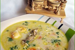 Supa de Zdrente- Supa de oua- Tojas leves