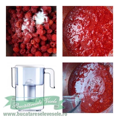 Sirop de Zmeura la Rece