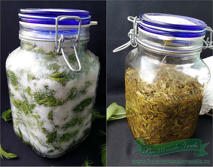 sirop-muguri-brad-rece