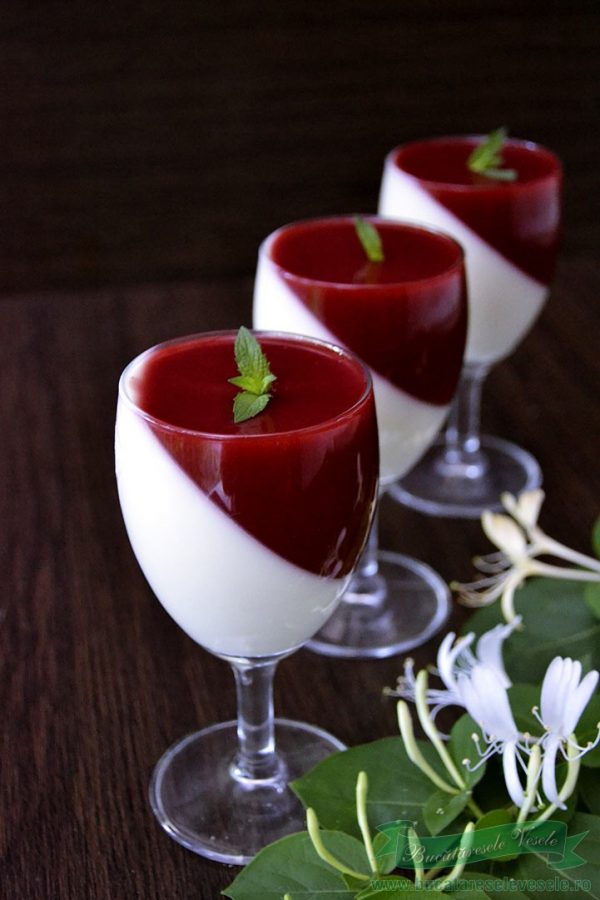 Panna Cotta cu Soc si Capsune