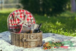 cos-de-picnic