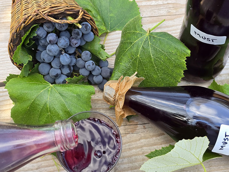 Must pentru iarna fara conservant