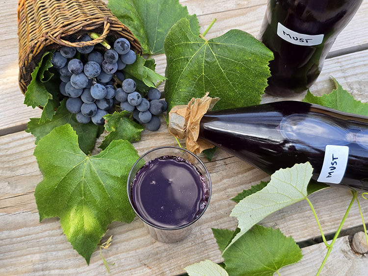 Must pentru iarna fara conservant