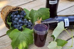 Must pentru iarna fara conservant