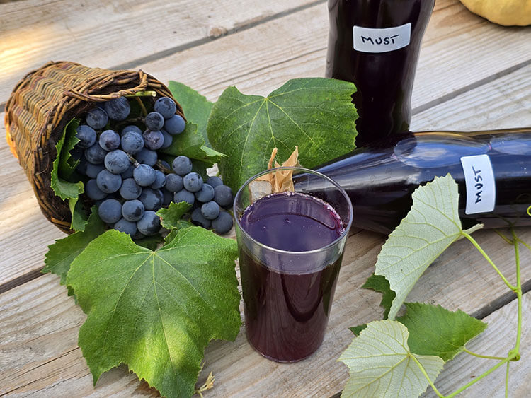 Must pentru iarna fara conservant