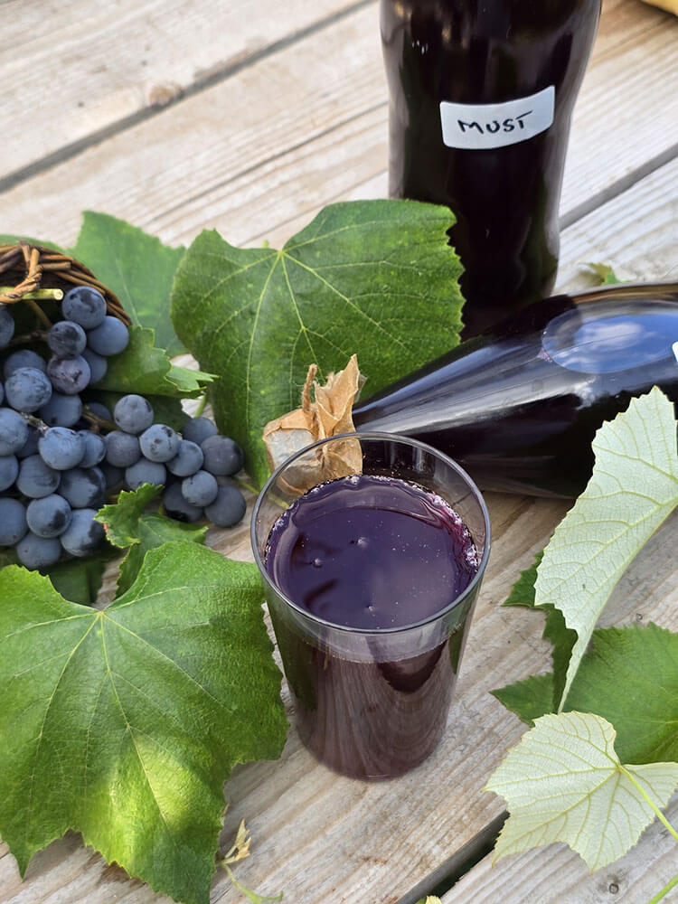 Must pentru iarna fara conservant