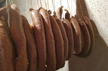 Maios, cardabos sau colbot