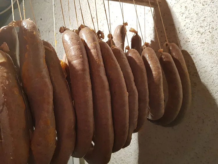 Maios, cardabos sau colbot
