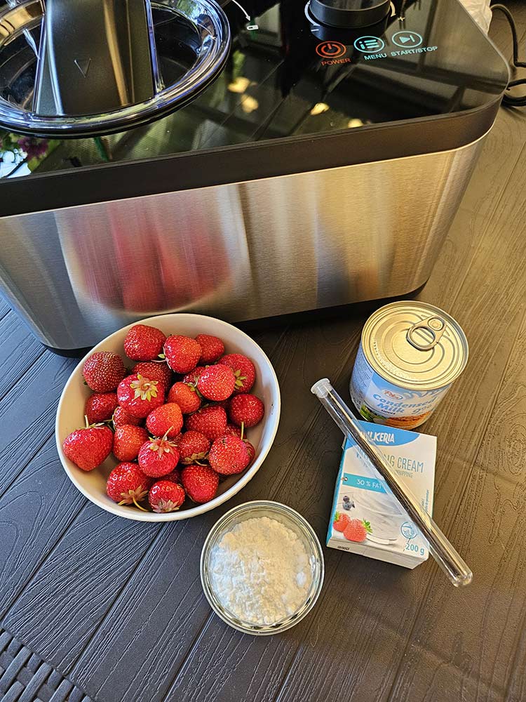 ingrediente inghetata