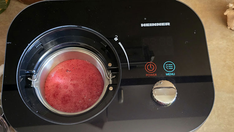 compozitie sorbet