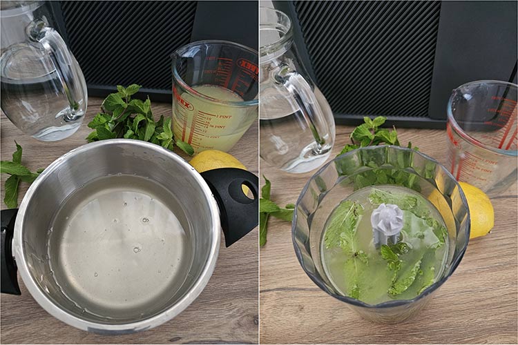 preparare limonada