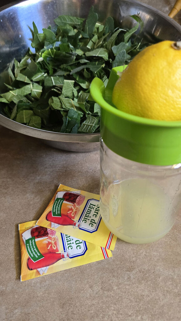 ingrediente sirop din frunze de smochin